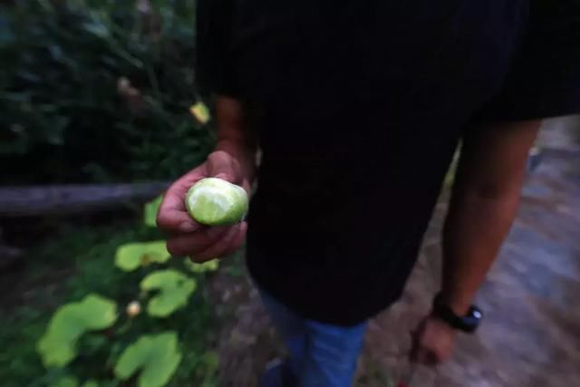 海峰的走山日记:因为羊桃的秋风岭穿越