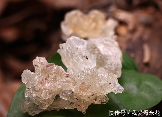 #食物#女人别傻傻买名贵化妆品了,多吃这6种碱性食物,皮肤水嫩有弹力