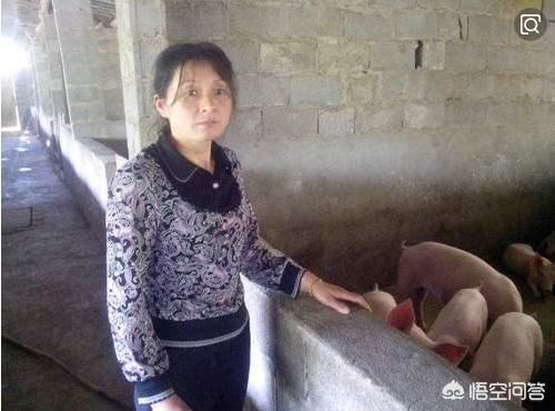  「道理」农村俗语：“正月的猪，五月的牛”，为啥要这么说呢？