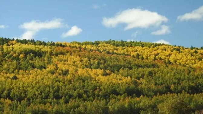 再过半个月,贝加尔湖的秋简直要逼疯摄影师!