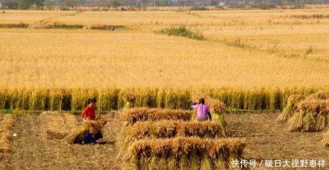  叫好：下月起，农村严查3笔“糊涂账”，几乎村村都有！农民纷纷