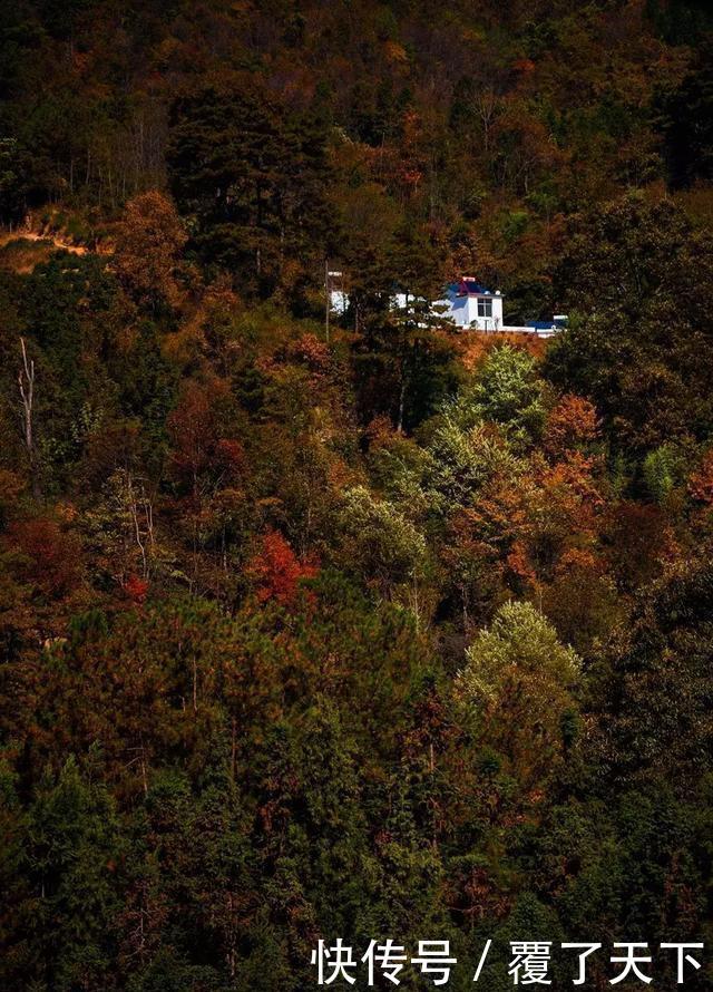 安徽旅游：大山深处一抹红，马丁公路、马鬃岭秋色美翻了