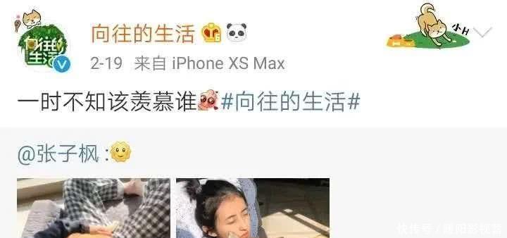 时间@《向往4》黄磊官宣下周开录！杨幂肖战或成惊喜嘉宾，播出时间太感人