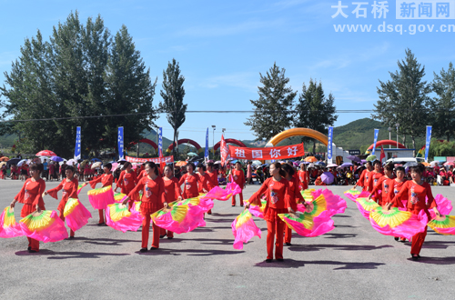 周家镇＂大红袍李子＂丰收节今日开幕!