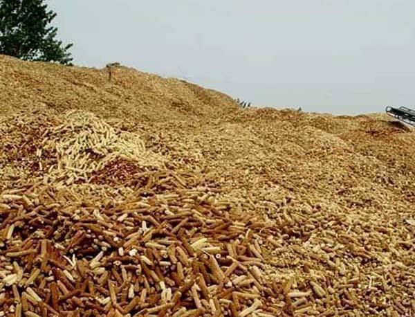  「收购」农村有收购玉米芯的商贩，据说一年能赚20多万，他们收