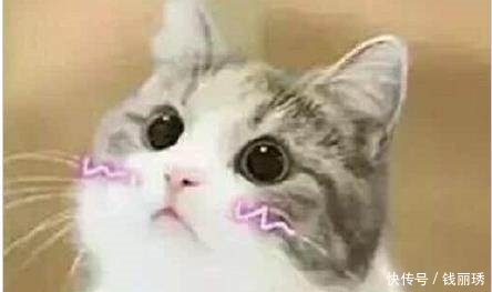 冯小刚被曝机场发飙怼女服务员，看了真正的原因，网友对不起