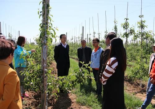 比城里竞争小、来钱快的农村6大创业商机！