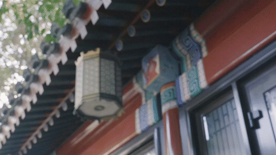 延禧攻略番外篇-璎珞被“大猪蹄子”冷落?明玉上线来救急!