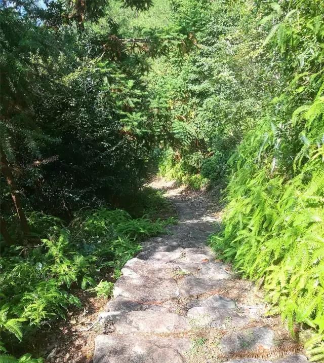  「大若岩镇」温州芙蓉岭古道，浙江省十大人文古道之一