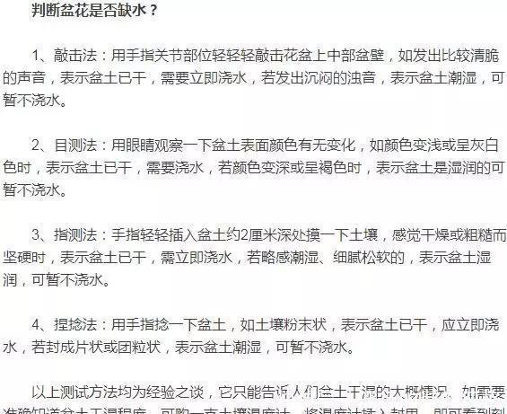  养花|室内养花技巧，让你养花一养一个好！