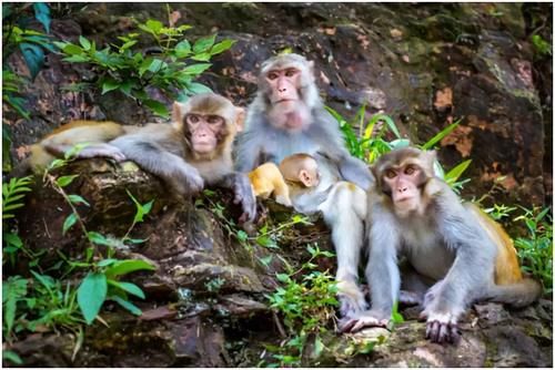 看过桂林山水就算来过广西了？这些人间仙境才叫人上瘾！