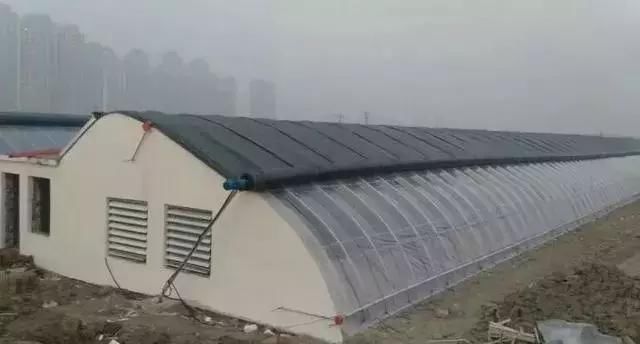 国家出手严打农村“这种房”，一经发现将马上拆除！