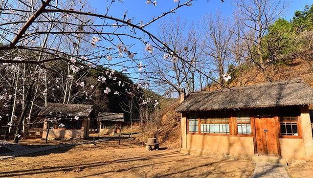  #收益#农村宅基地红利：闲置宅基地可以盘活再用，农村有房有地