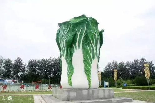  山东的蔬：浩克山东丨山东“巨型食物”之谜