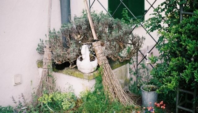 #快乐#年迈时期,搭建一座小院,养养花,陪着心爱之人,“快乐似神仙”
