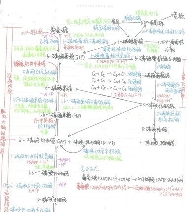『借来』学霸的笔记原来长这样……网友:期末了我想借来复习!