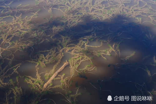 这处高山湖泊一脚踏3省,北京人每喝10滴水,就有1滴来自这里