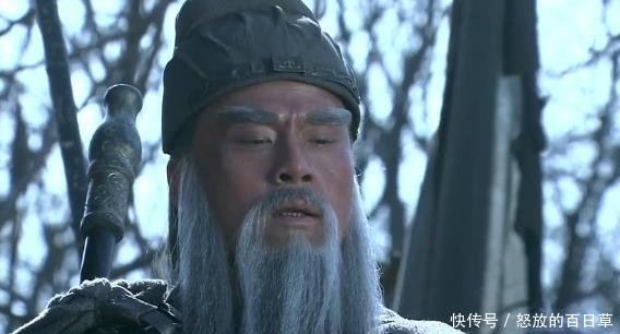 #毫无大局观#诸葛亮为何逼着刘备杀义子刘封刘封的这三种无知,我们不可不察!