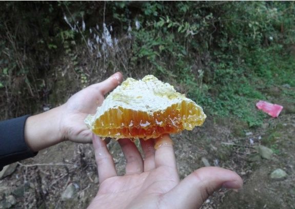 56岁养蜂大妈揭秘:每晚一抹，三天祛斑安全又美白，此生不长斑!