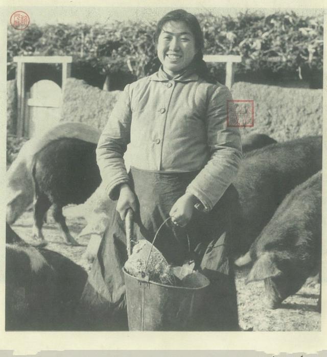 一组女知青珍贵老照片：养猪、喂羊、能种田，长相美丽又能干