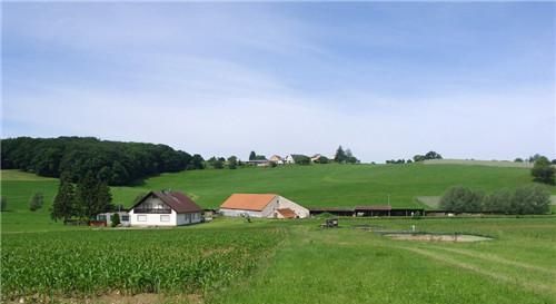  【标准】农村宅基地的“一户一宅”具体要怎么算？标准有哪些？