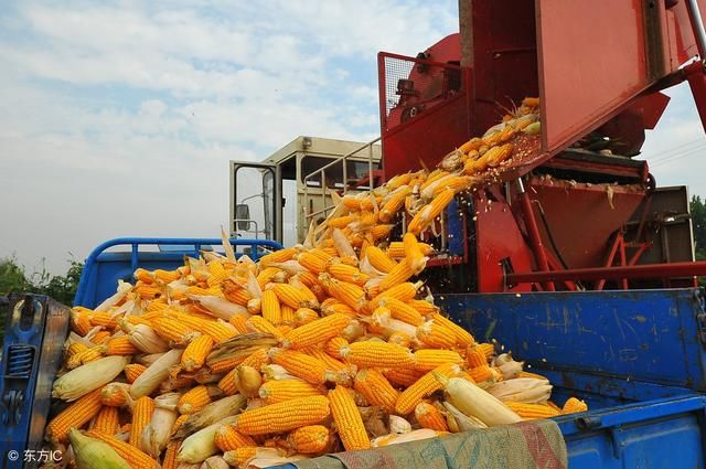 吉林粮食集团倒闭 玉米大豆大米要受影响