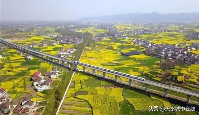  【高铁】重磅！天水被500亿高铁“选中”！连接两省五市两区九县