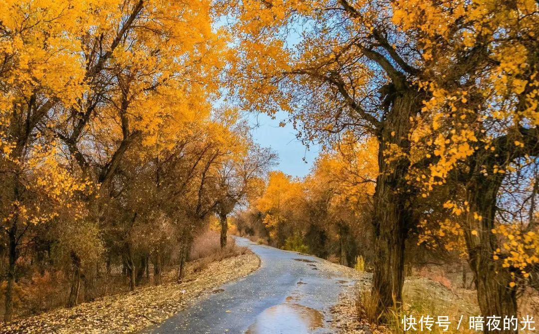 10月最佳旅行地榜单，这些地方的颜值要逆天了