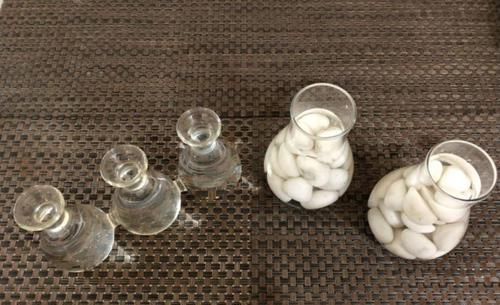  『水培养护』在家里用风信子的鳞茎水培养开花，在玻璃瓶里加点清水就行了