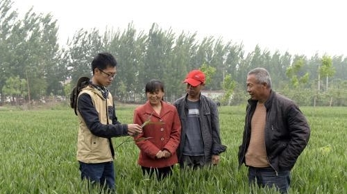 19年农村将实施“三补三不补”，农民好日子来了，三补有你吗？