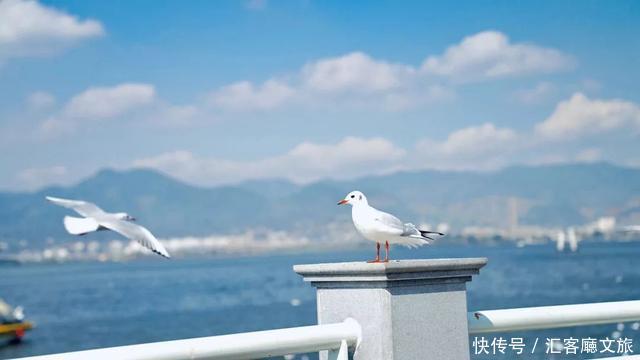 中国最美10条火车旅行线路,最适合一个人去旅行