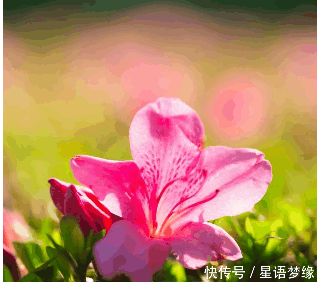 6月初财非常旺盛,富贵生活遥遥在望的3生肖!