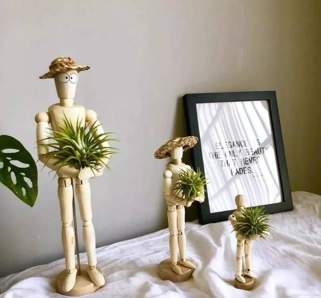  养活：这五种花号称“死不了”，植物杀手都能养活，你家有几种？