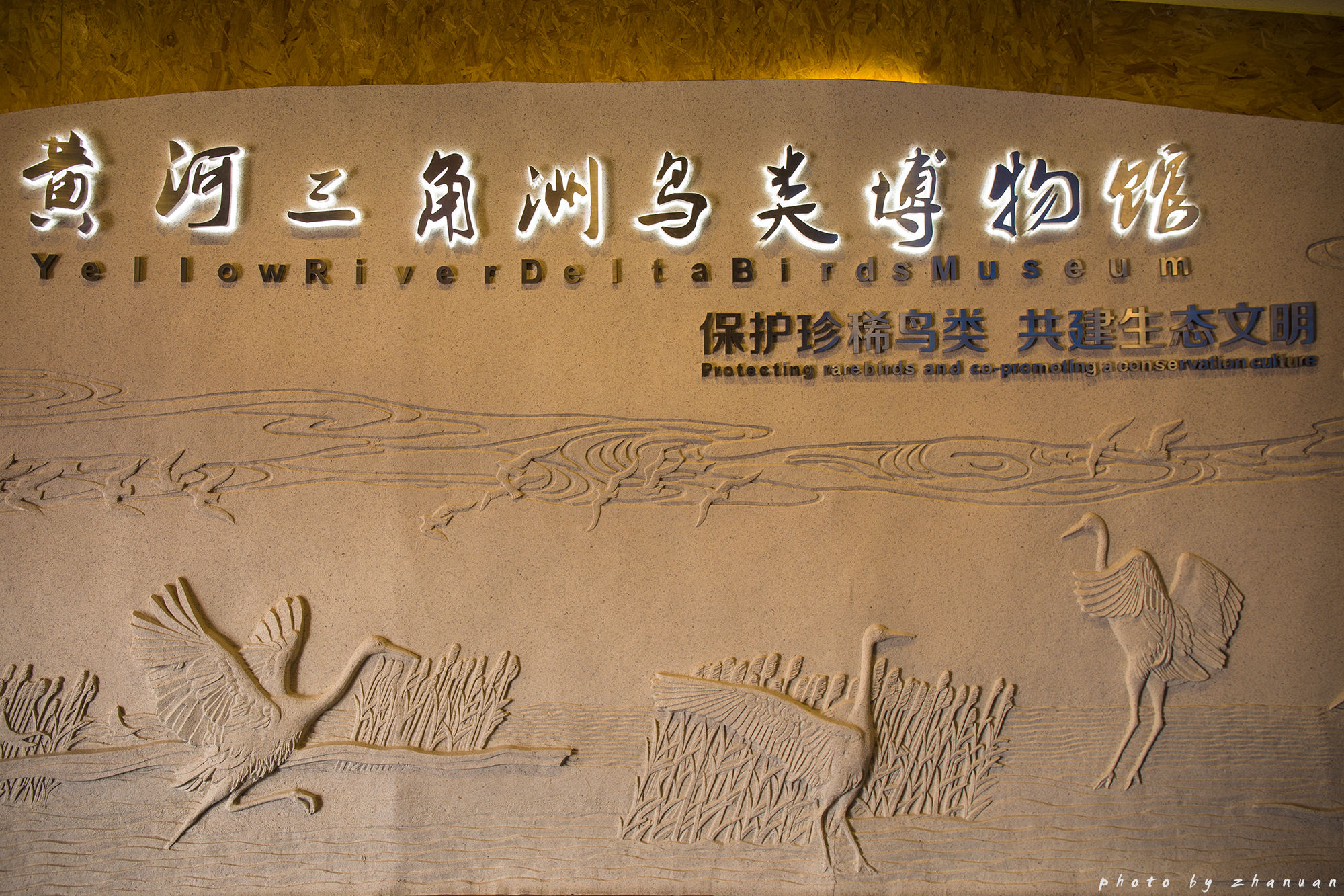 东营丨走过沧海桑田，终是在芦花飞雪的秋日遇见你