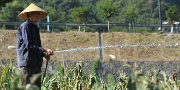  买房|城里买房好还是农村盖房好？以后谁过得更舒坦？看看过来人