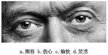 看眼神,猜情绪,测情商,给自己的情商定个级,