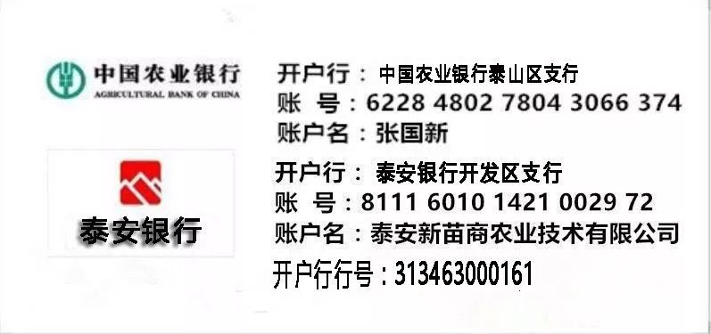 庭院深深，中式庭院 · 怡然自得