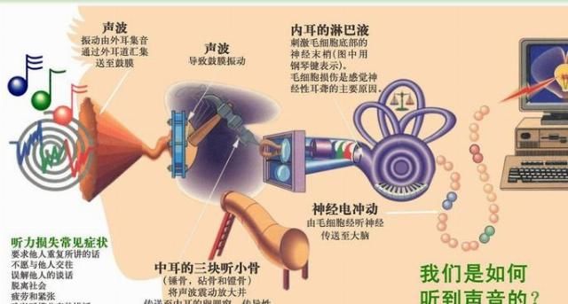 加班加点、经常熬夜之后,耳朵里面有点儿听不