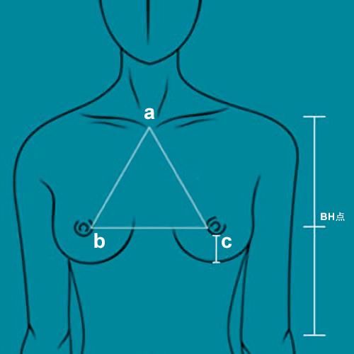 女性穿文胸的目的是什么?