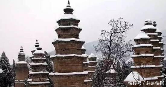 河南大范围的降雪已经到了, 小雪、中雪、大雪, 喜欢的赶紧来吧