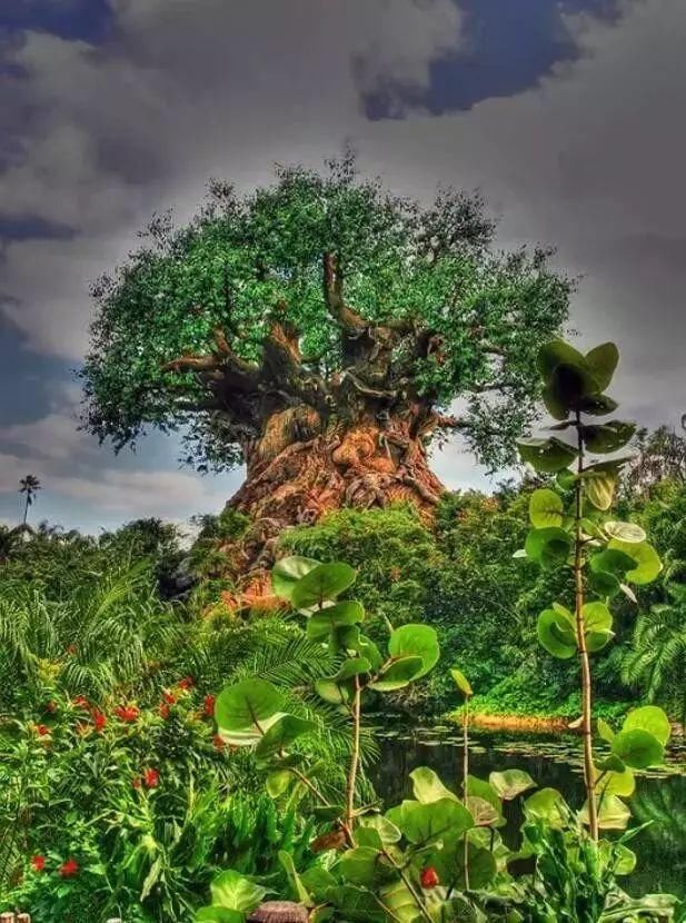 曾疯传的假图片，你一定被骗过!来看看那些曾让你深信不疑的图片