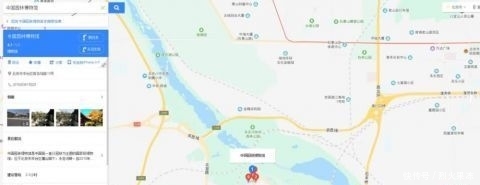 「陪您」400条中国金鱼组团进京,只为陪您过个吉庆年