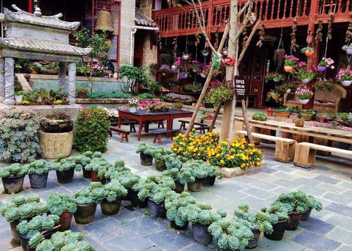 中国“最特别”的尼姑庵，只种花却不烧香！游客直称：太美了！