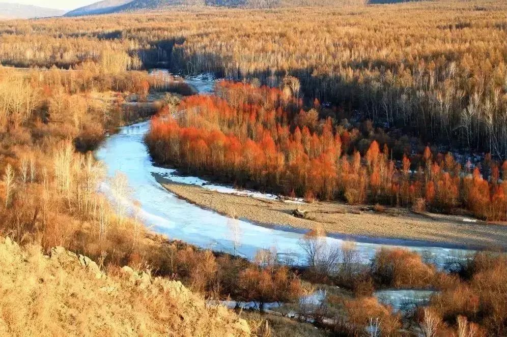 在呼伦贝尔大草原邂逅最美秋天！