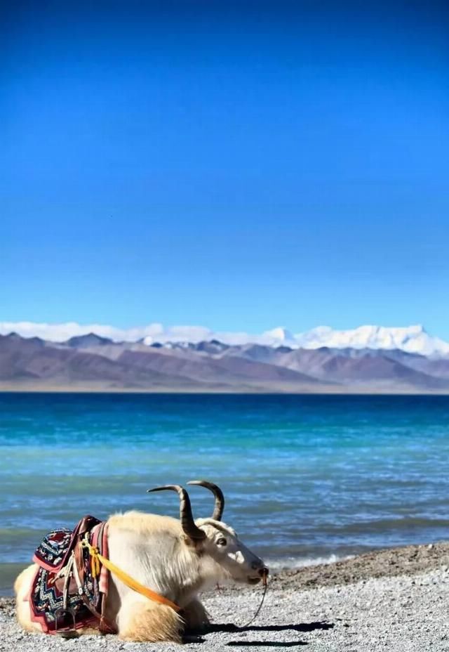 中国最美的六大湖泊：每一个都让人心之向往!