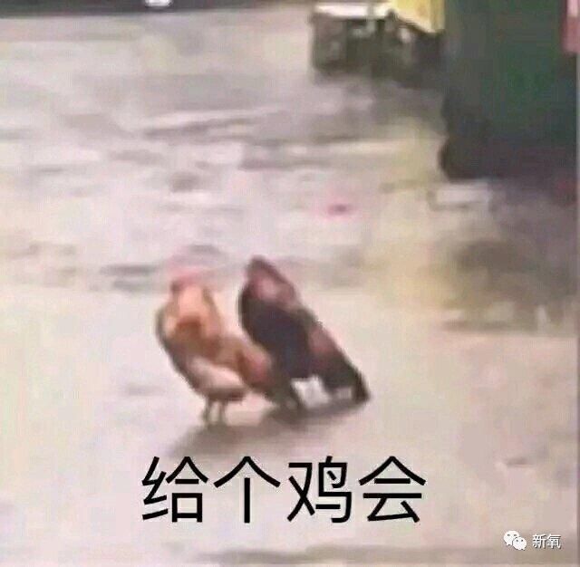  『最美脸蛋』做了不下10项整形手术，却从没脸崩过的亚洲第一美人，服气！