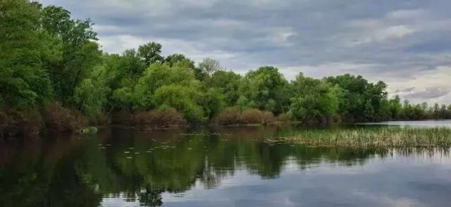  「出钓」刚到秋天，你就不会钓鱼了吗？