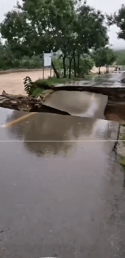 最新消息！台风“利奇马”已致5人死亡！潍坊2人失踪！经济损失60