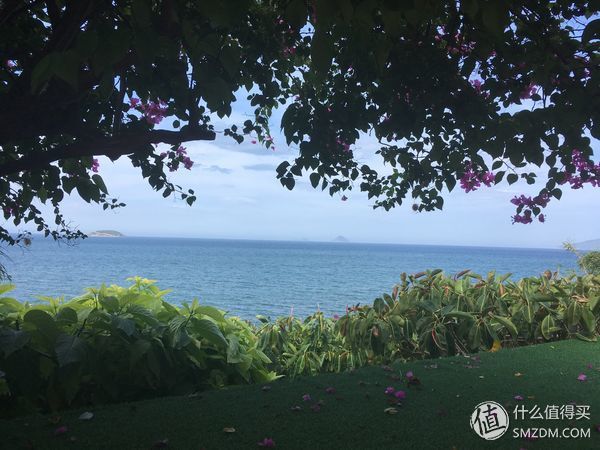 游记攻略 | 和闺蜜跟团去芽庄的5天游到底经历