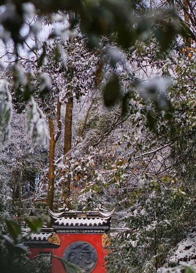 飙拢“川西咽喉”耍雪，打卡无边池的网红云海，元旦就去这！